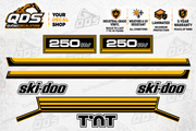 Ski-Doo T’NT 250 RV 1976 Snowmobile Decal Kit | Aftermarket